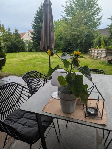 Windischeschenbach Apartment | Ferienwohnung Sperber