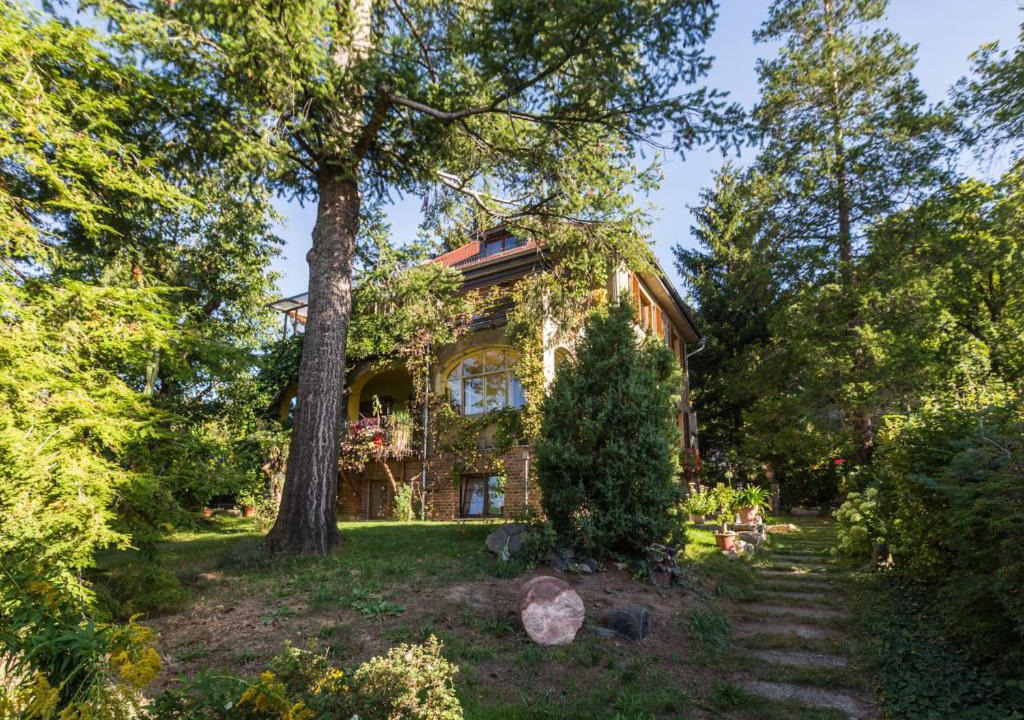 Hosterwitz Apartment | Ferienwohnung Dresden-Pillnitz - Elbhang-Villa - "Am Zuckerhut"