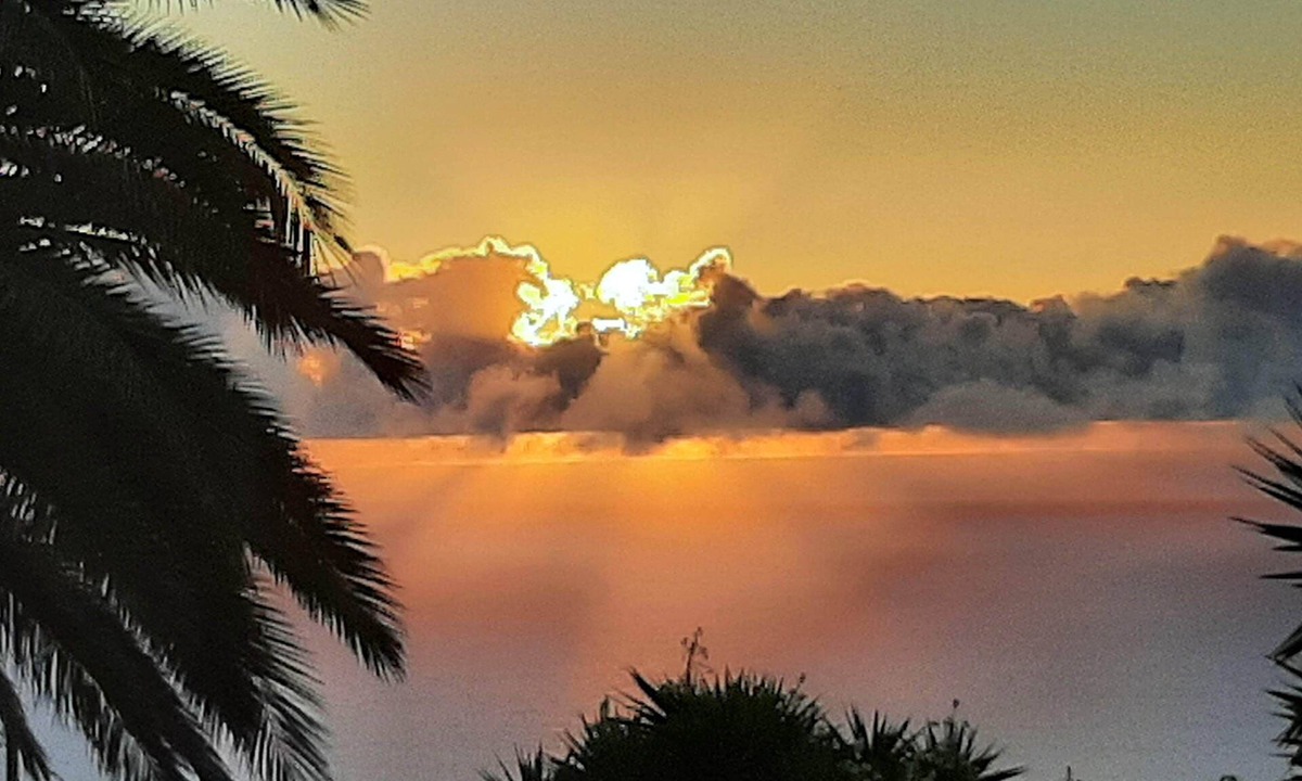 Villa de Mazo House | Finca La Guapa: Peace, Space, and the Canarian Spirit on La Palma