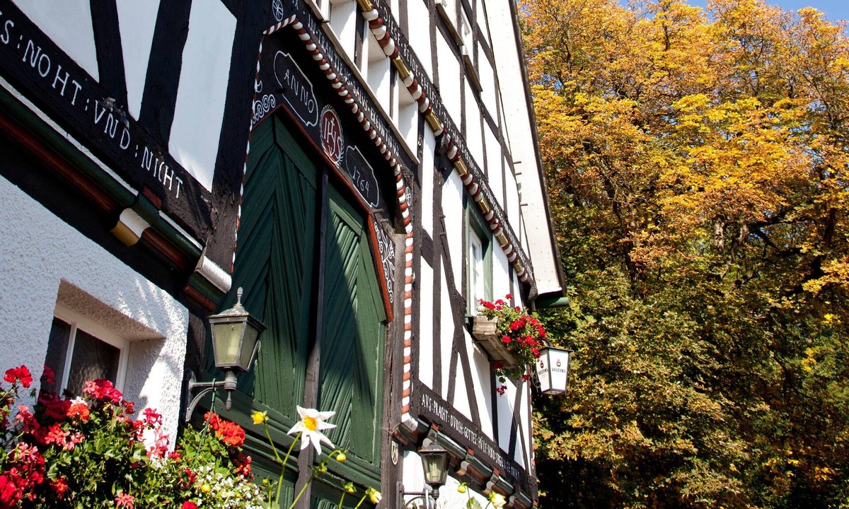 Eslohe Hotel | Forellenhof Poggel