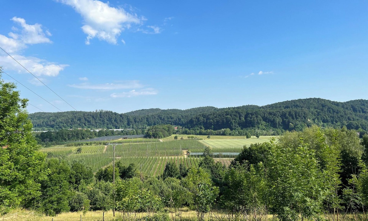Tettnang Apartment | Garten mit Einzigartigem Panoramablick Nähe Tettnang, Bodensee und Messe