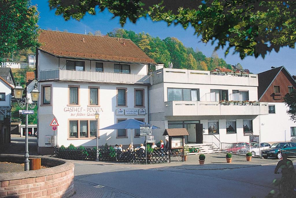 Heigenbruecken Hotel | Gasthof und Pension Zur Frischen Quelle