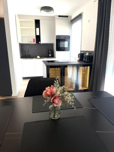 Bamberg Apartment | Geisfelder Suites , Zuhause auf Zeit 1 Obergeschoss links