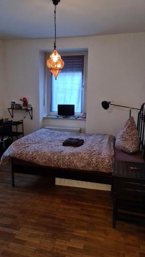 Zellerau House | Gemütliches Zimmer in einer Altbauwohnung in der Stadt