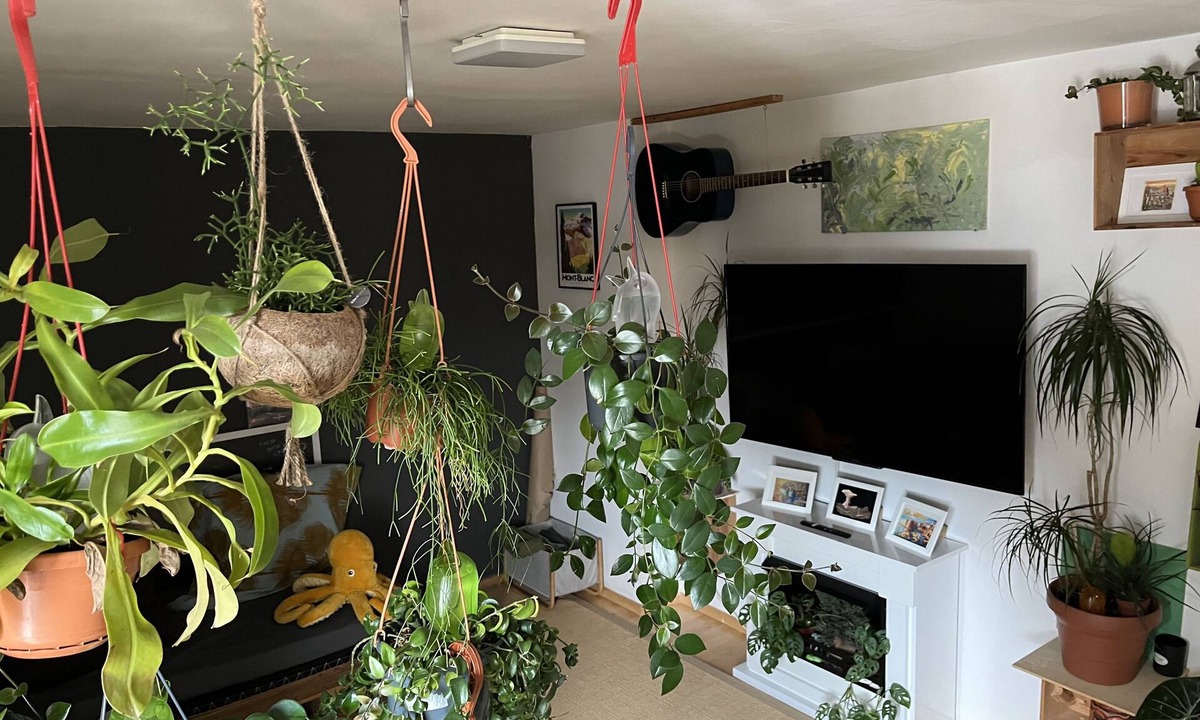 Dreimuhlen Apartment | Green oasis in the heart of Munich.