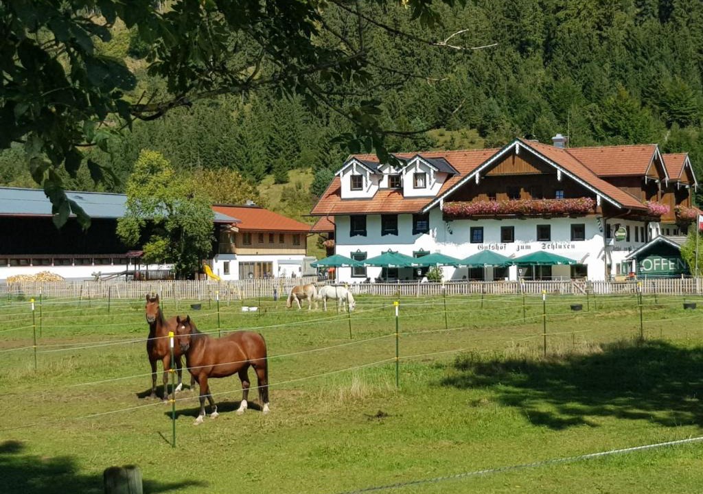 Unterpinswang Apartment | Gutshof zum Schluxen