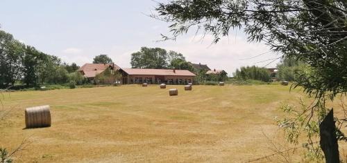 Meschendorf Apartment | Hof am Meer "Seefalke"