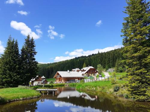 Lachtal House | Holiday Home Lachtalhütte by Interhome