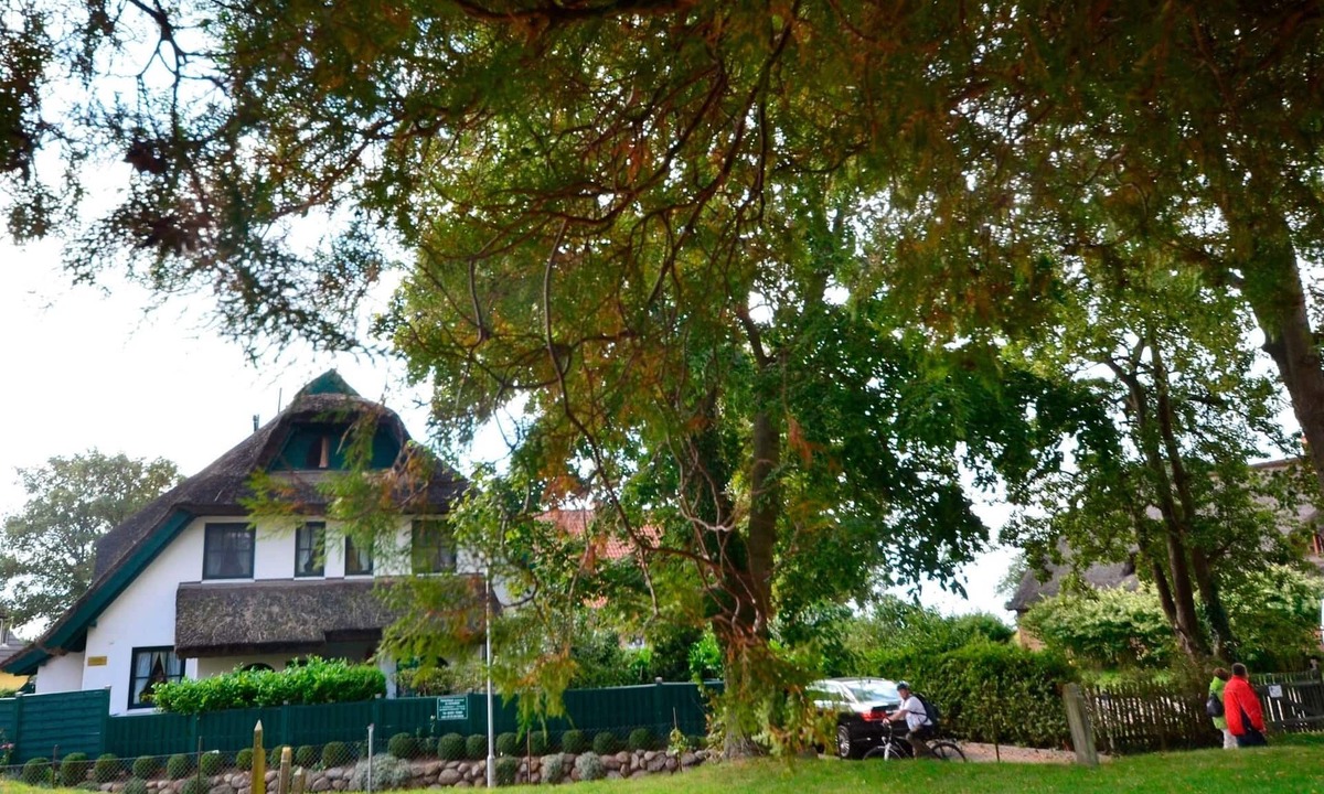Gross Zicker House | Holiday house for 8 guests with 100m² in Groß Zicker (20544)