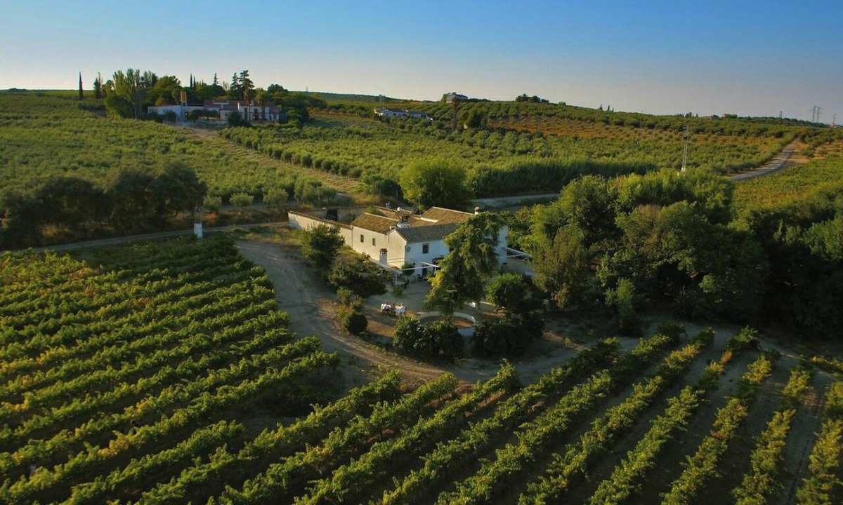 Montilla Villa | Homerez - Villa in Montilla