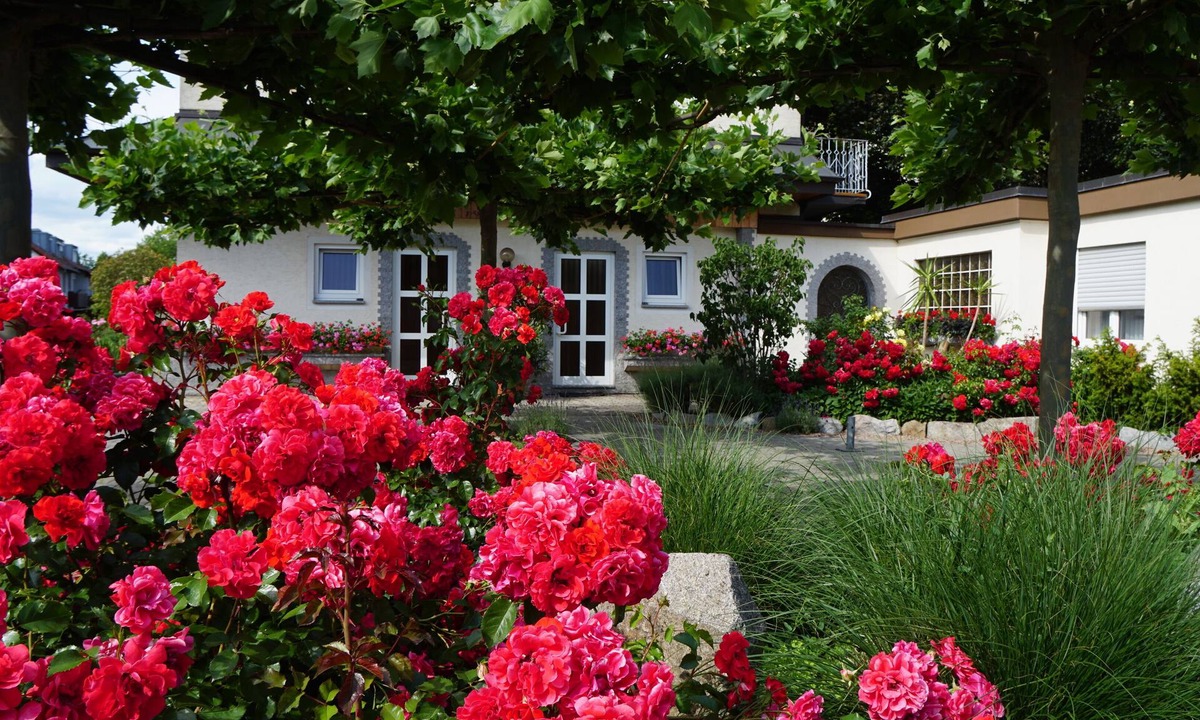 Neuenburg am Rhein Hotel | Hotel Anika