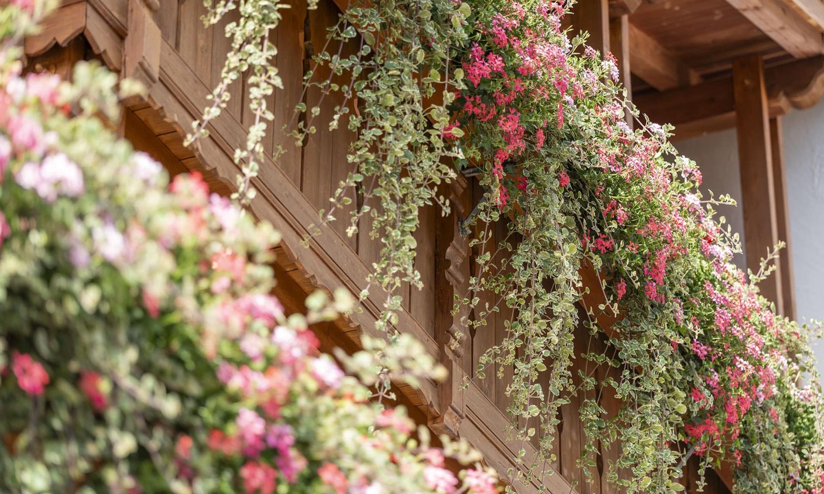 Oberammergau Hotel | Hotel Arnika