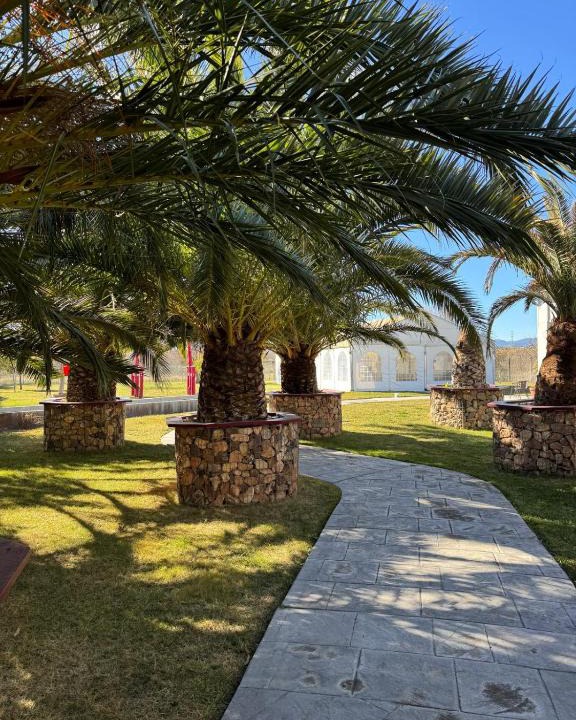 Borja Hotel | Hotel Tierra de Garnacha