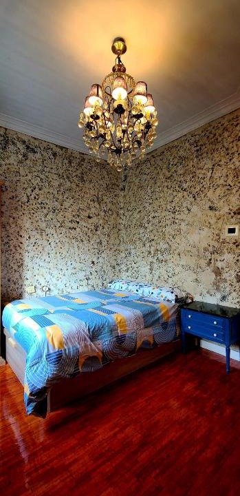 Concepcion Apartment | La Guarida de Burton