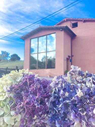 La Franca House | La Tejera