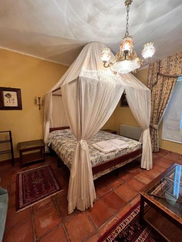 Nueva Carteya House | La Valeriana