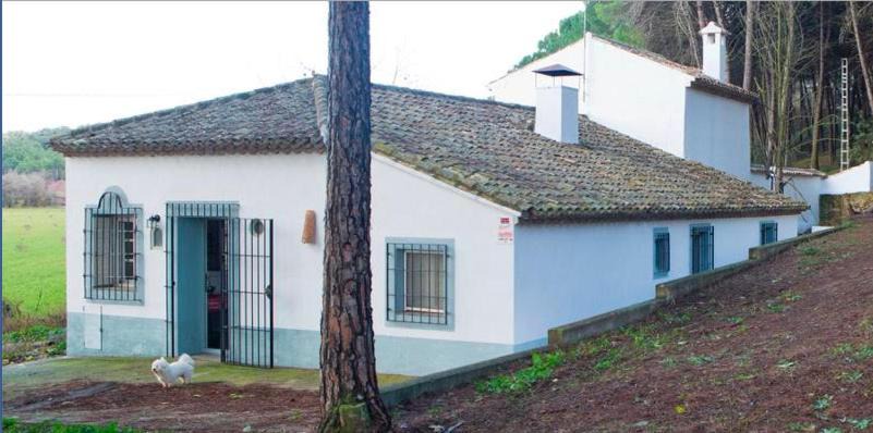 Casas de Benitez Villa | LosGuachos casa rural