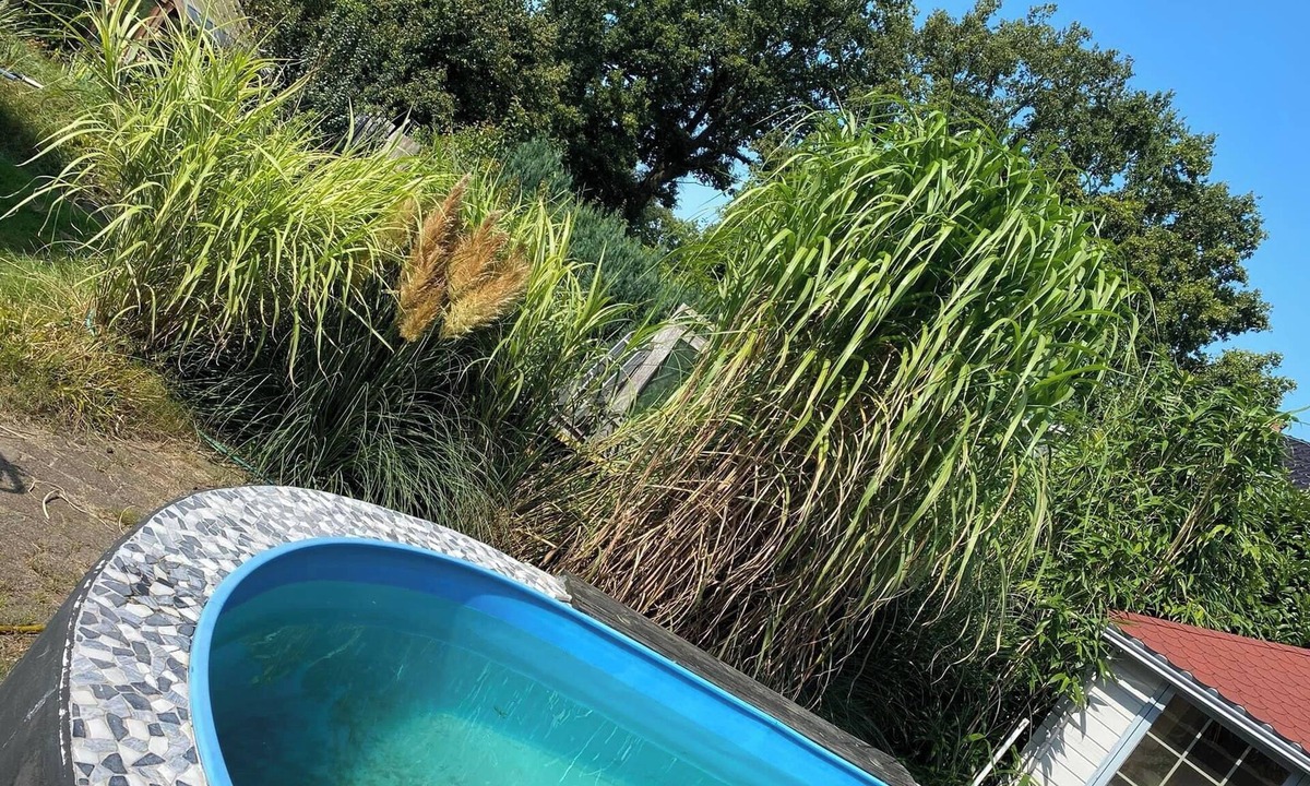 Schuettorf Bed & Breakfast | Moor living room Vechte Stuuv