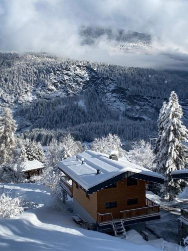 Les Houches Ski Chalet | Mountain Cabin - vue montagne - 4 personnes