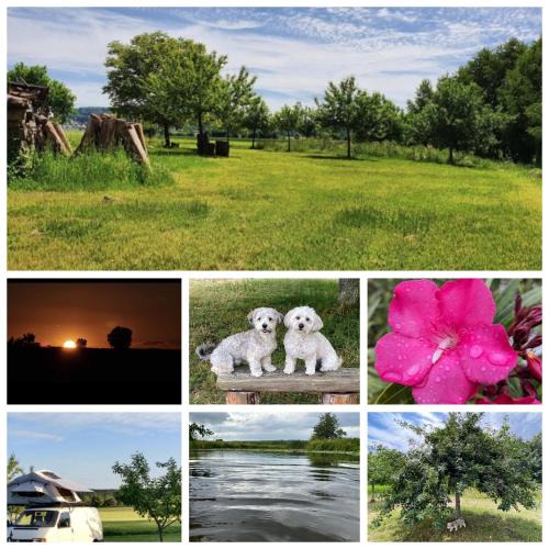 Bechhofen Other | Natur, Wasser und Landleben - Camping mit eigenem Zelt