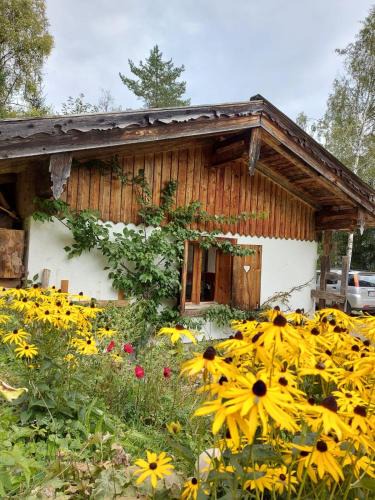 Steinberg am Rofan Apartment | Naturetouch