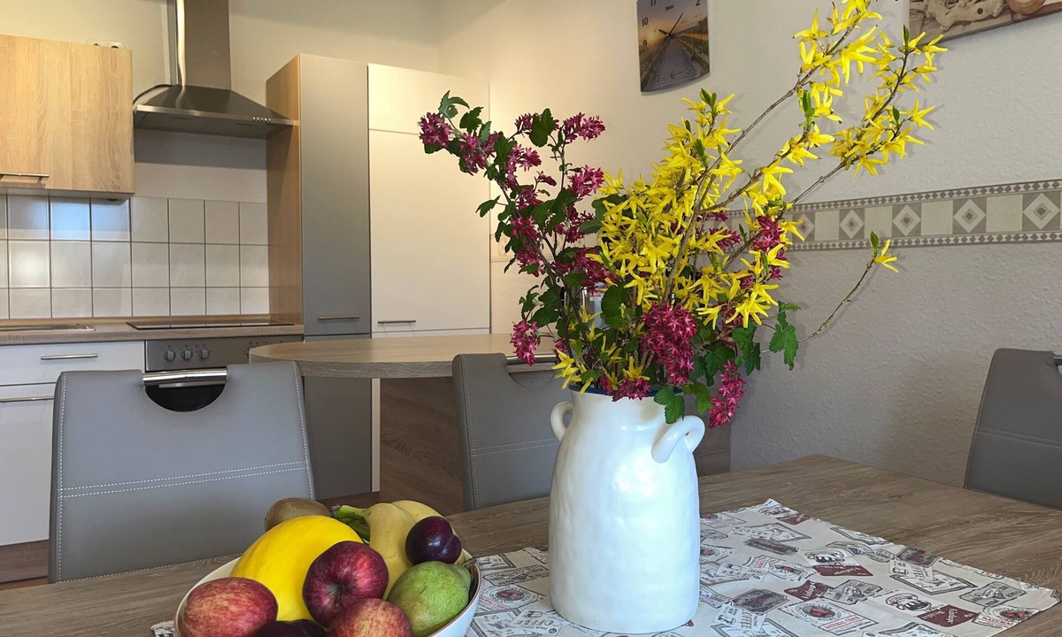 Steffenshagen House | Nr. 2 - 4 Zimmer Ferienwohnung mit Kamin, Terrasse, Garten - Ostsee Bauernhof Schwalbennest OFC 15
