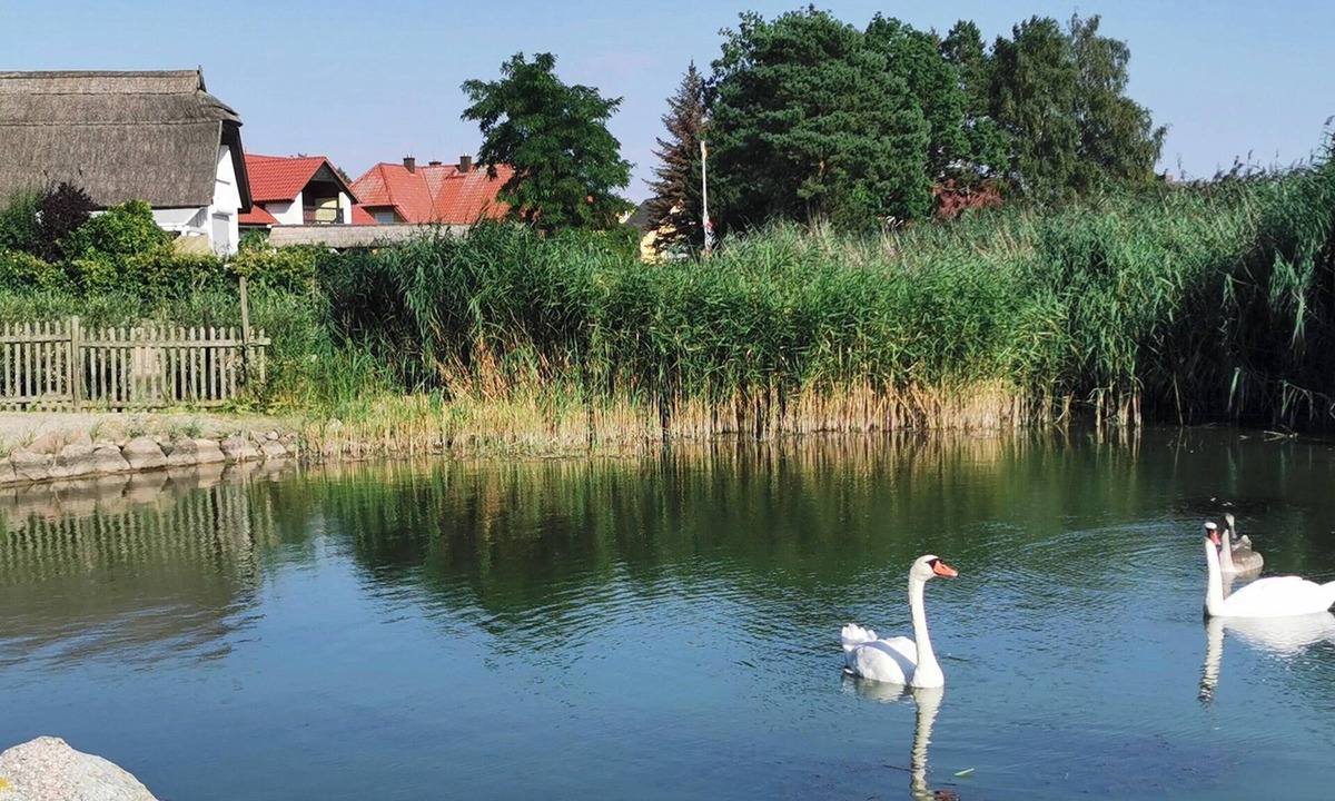 Ostvorpommern Apartment | Paradise on the Peenestrom quiet, small priv. Beach, Terrace - Ziemitz -