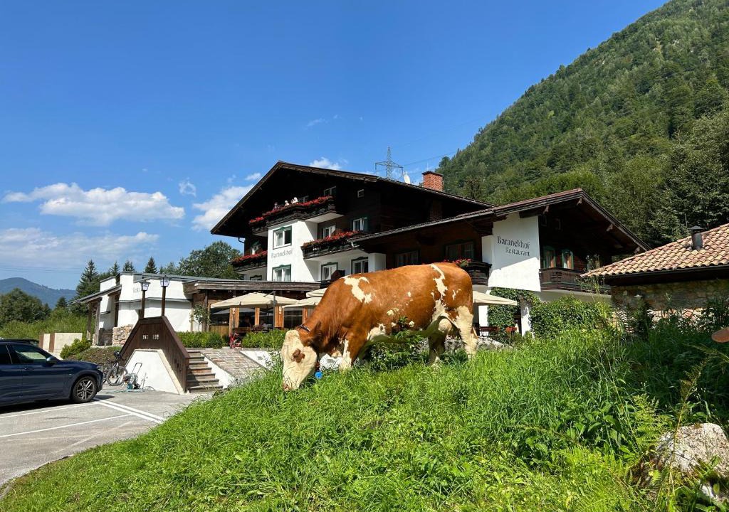 Kaprun Hotel | Pension Baranekhof - Accommodation in Nature with Mountain Views - Baranek Resorts