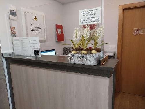Arzua House | Pension Begoña
