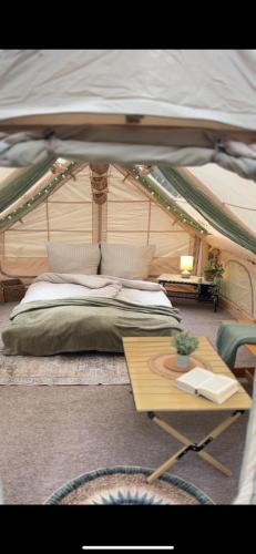 Bakenberg Other | Romantisches Glamping Zelt auf Rügen - Übernachten mitten im Kiefernwald - nur 100m bis zum Strand - Ideal für Paare und kleine Familien - Zelt Nr 2