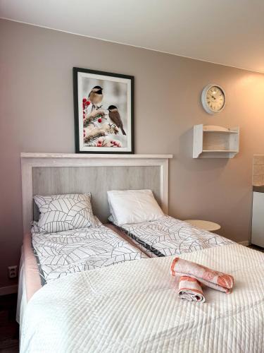 Rovaniemi Apartment | Rovaniemi City Stay Walk to Everything