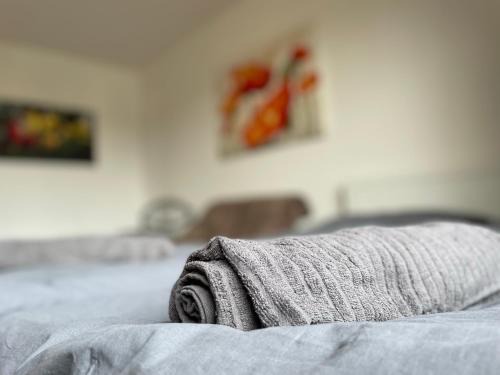 Oldenburg House | Schönes einfaches Zimmer in Oldenburg