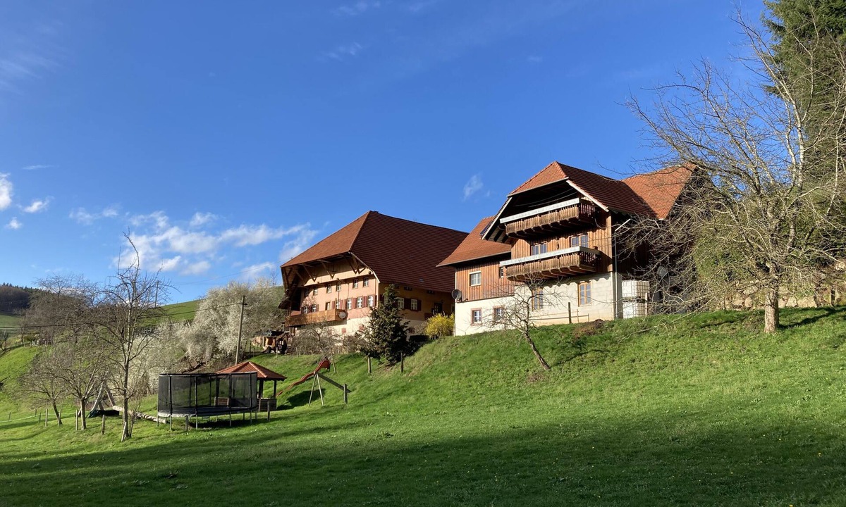 Schuttertal Apartment | Schwörerhof Apartment with Mountain View, Private Terrace, and Wi-Fi
