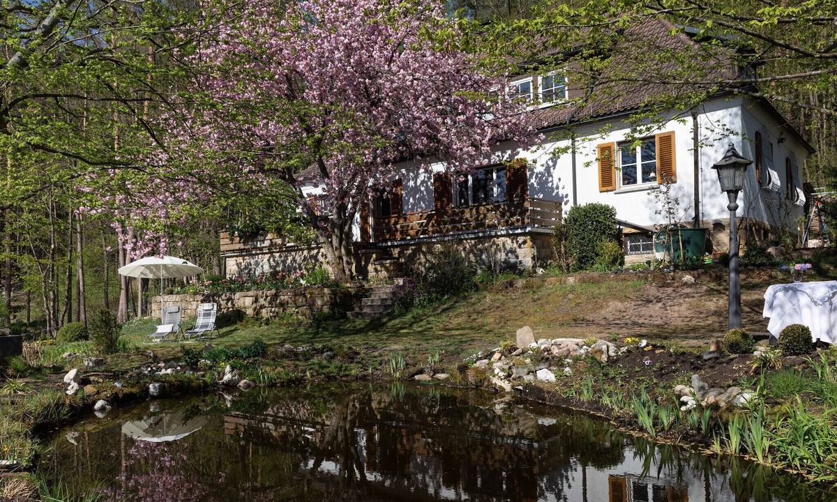 Weissenbrunn Apartment | Secluded Apartment in Weißenbrunn with Garden