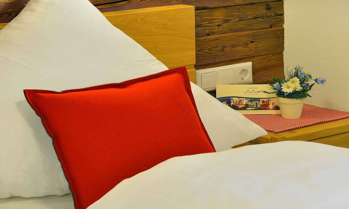 Oberreitnau Apartment | Single room with toilet and shower