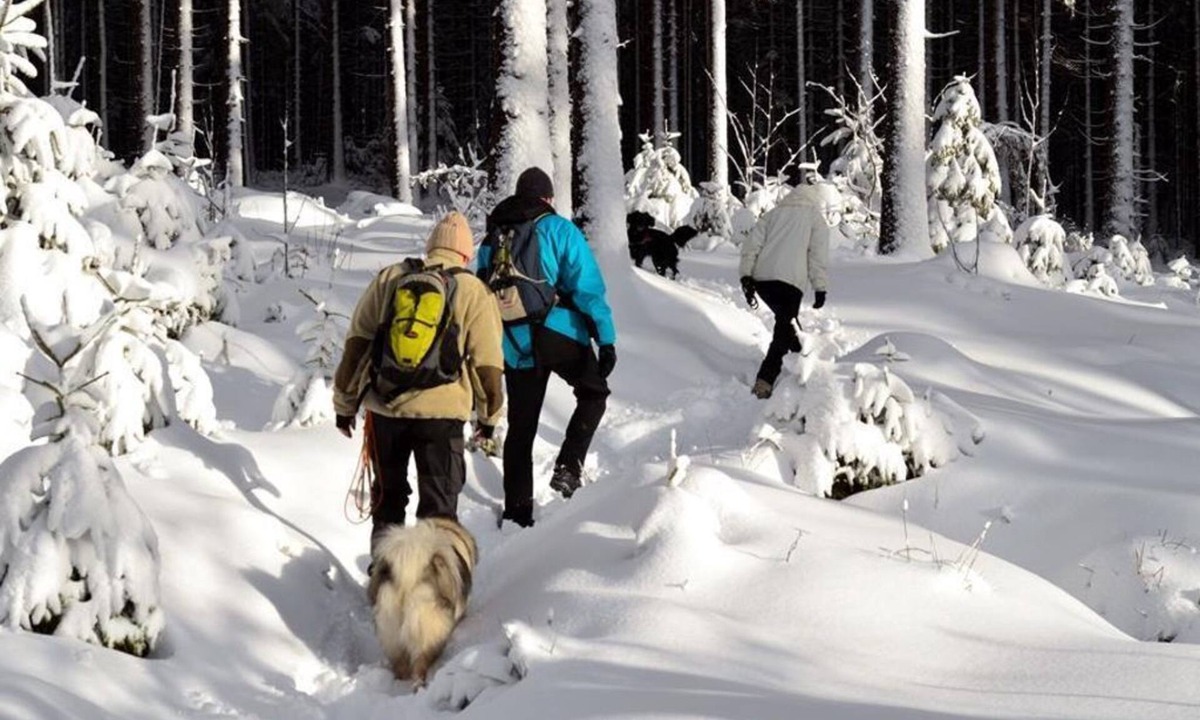 Fichtelberg Apartment | Single room, shower, WC, non-smoking - WAGNER'S Hotel and Restaurant