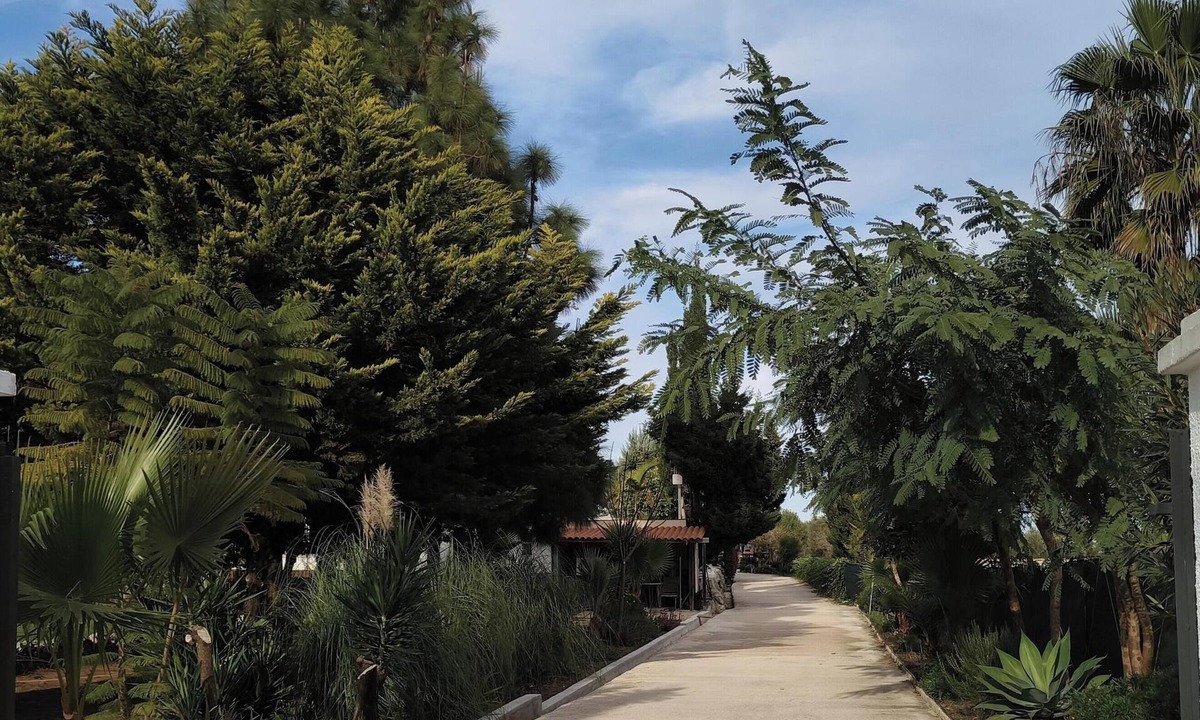 Pedreguer Cottage | Small country house on the Costa Blanca, 6 km from Denia