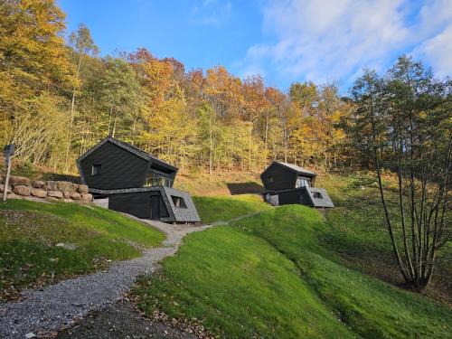 Bad Rippoldsau-Schapbach Cabin | SMART LODGES Bad Rippoldsau