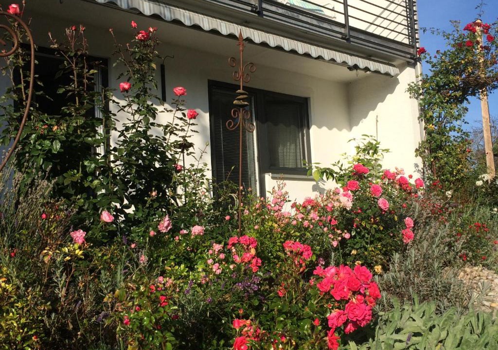 Rettenbach a.Auerberg Apartment | Stilvolles Studio im Allgäu