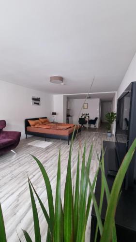 Landsberg am Lech Apartment | Studio- Gemütlich, Charmant, Zentral