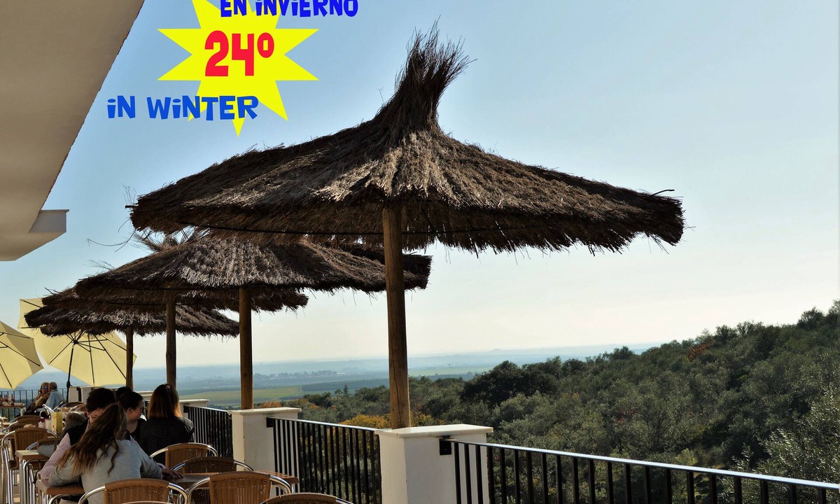 Hornachuelos Resort | Study on stream in Cañada Verde