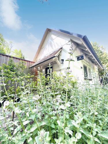 Rothenburg ob der Tauber House | TauberChalet I Privates Boutique-Ferienhaus mit Whirlpool, Sauna, Garten, Naturmagie & ZellBoost