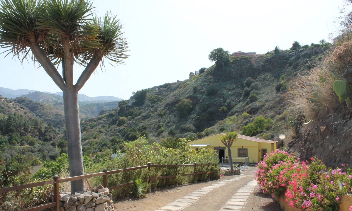 Santa Brigida House | The face of the moon