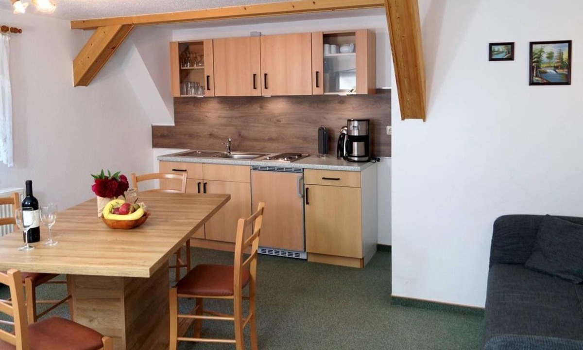 Hermsdorf-Erzgebirge Apartment | Vacation apartment 1 - Ferienwohnungen Kammbaude