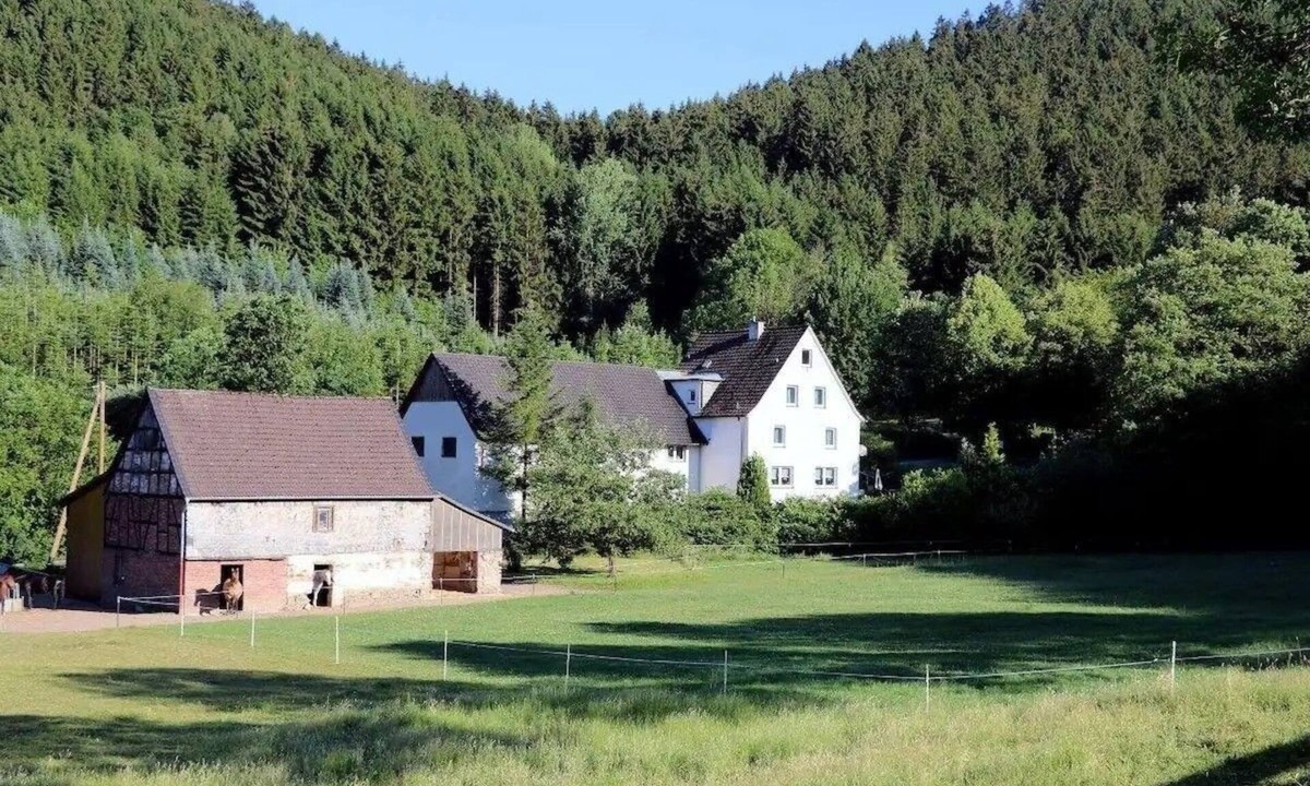 Sundern Apartment | Vacation apartment/apartment for 4 guests with 80m² in Sundern (250891)