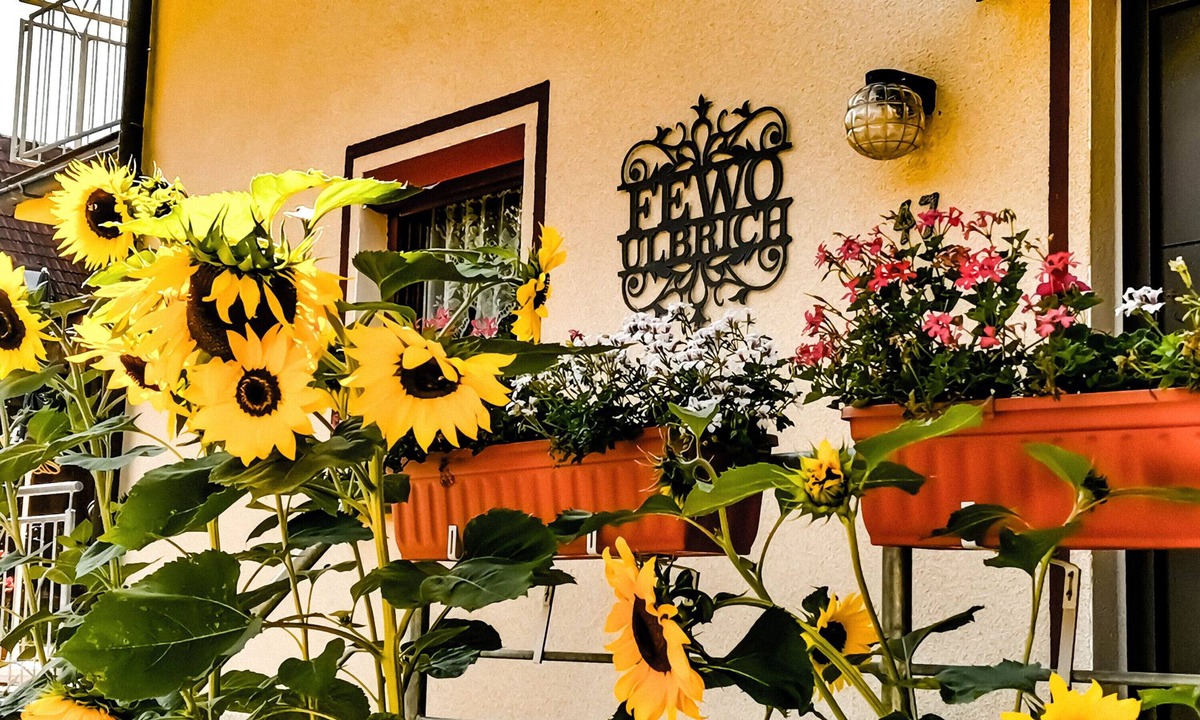 Neudrossenfeld House | Vacation Home "Ulbrich" with Private Terrace, Balcony & Wi-Fi