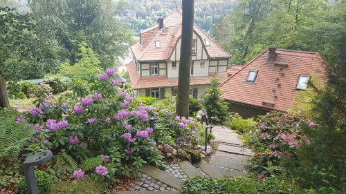 Bad Schandau Apartment | Villa Sonnenburg - Blick auf die Stadt und die Elbe - Parkplätze