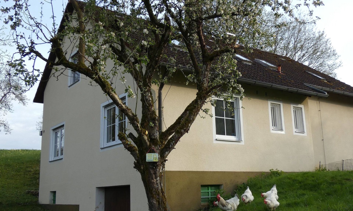 Goessweinstein Apartment | White chicken from Moschendorf