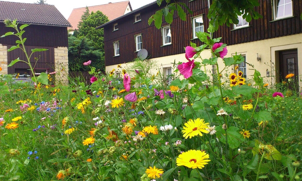 Weißig House | XXL Ferienhaus in Struppen