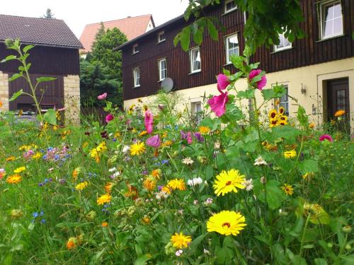 Weißig House | XXL Ferienhaus in Struppen